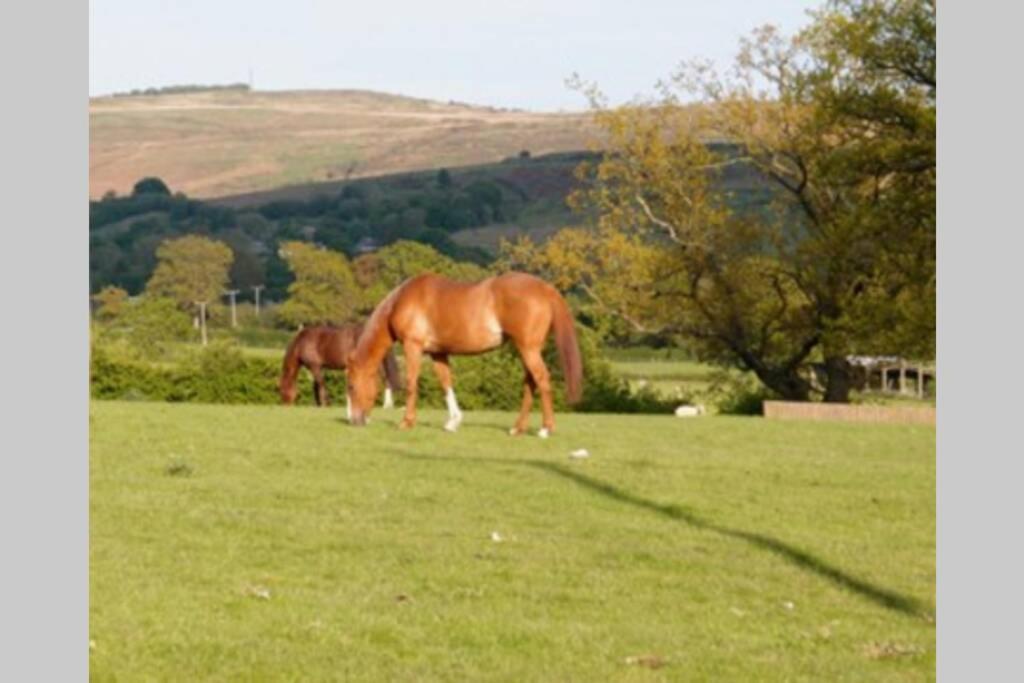 Upper Heath Farm - Stable Cottage Ludlow Craven Arms Bagian luar foto